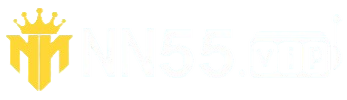 NN55.COM